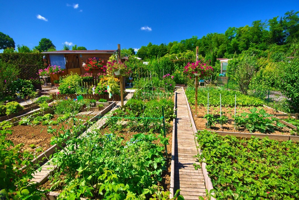 Plan De Jardin Potager Aménager son Jardin Les Clés Pour Réussir – Plan De Maison