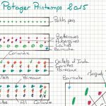 Plan De Jardin Potager association Potager Permaculture Xg06