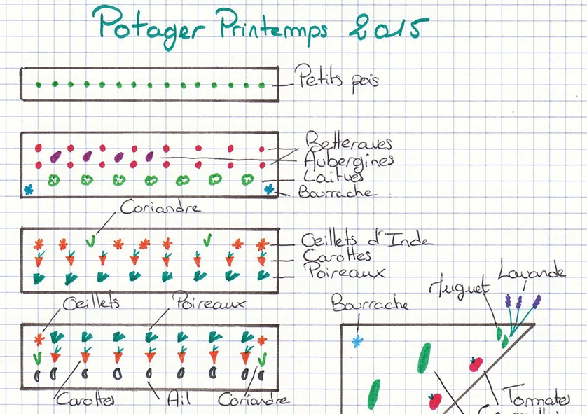 Plan De Jardin Potager association Potager Permaculture Xg06