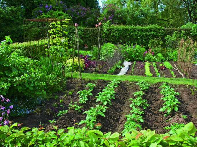 Plan De Jardin Potager Les Bonnes Quantités à Cultiver Au Potager