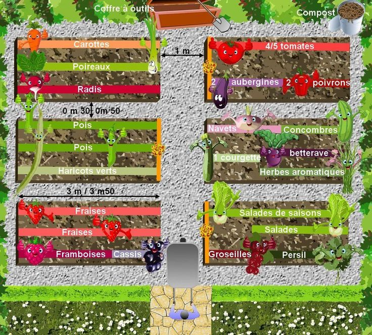 Plan De Jardin Potager Plan De Potager Céer son Potager Biologique