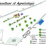 Plan De Jardin Potager Potager Permaculture Et Petit élevage Plan Du Futur