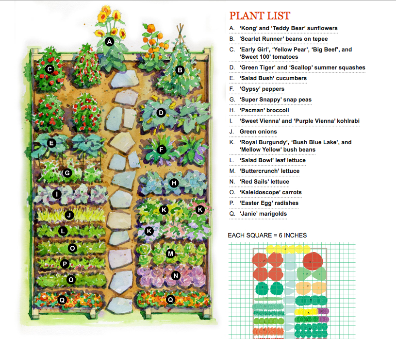 Plan Jardin Potager Plan De Potager Jardin Pinterest