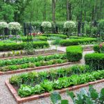 Plan Jardin Potager Potager Déco Pinterest