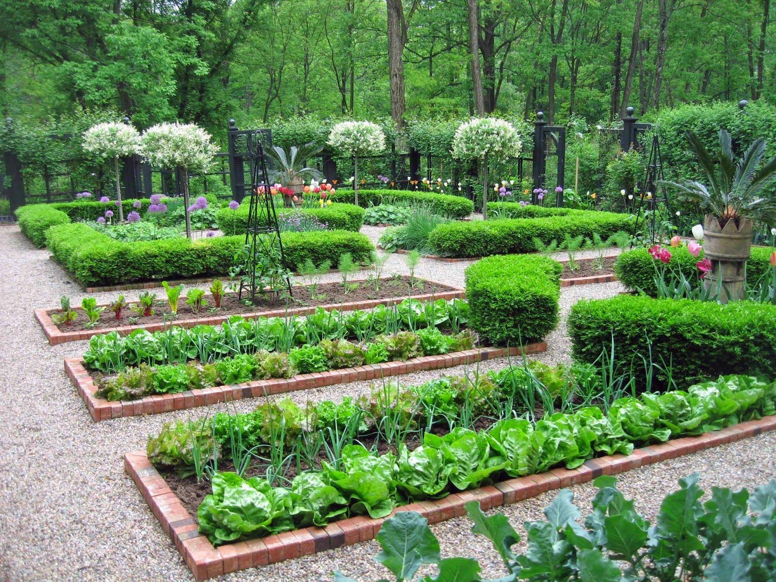 Plan Jardin Potager Potager Déco Pinterest