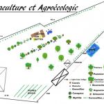 Plan Jardin Potager Potager Permaculture Et Petit élevage Plan Du Futur