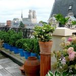 Terrasse Et Balcon Accueil Plantes Et Jardin De Ville