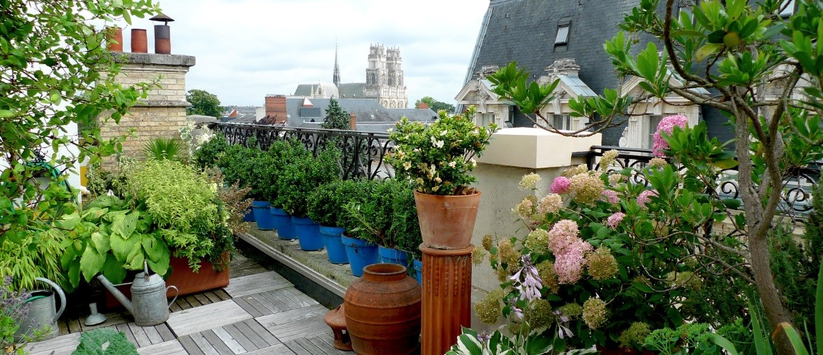 Terrasse Et Balcon Accueil Plantes Et Jardin De Ville