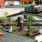 Terrasse toit Plat toit Terrasse Avantages Inconvénients Idées D’utilisation
