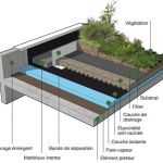 Toit Terrasse Végétalisé étanchéité Des Terrasses Jardins Améliorer L’aspect Des