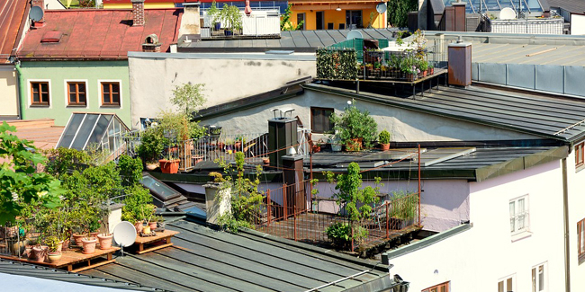 Toit Terrasse Végétalisé toit Terrasse Avantages Inconvénients Idées D’utilisation