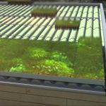 Toit Terrasse Végétalisé toiture Végétalisée Avec Hydropack Sur Système Verdura D