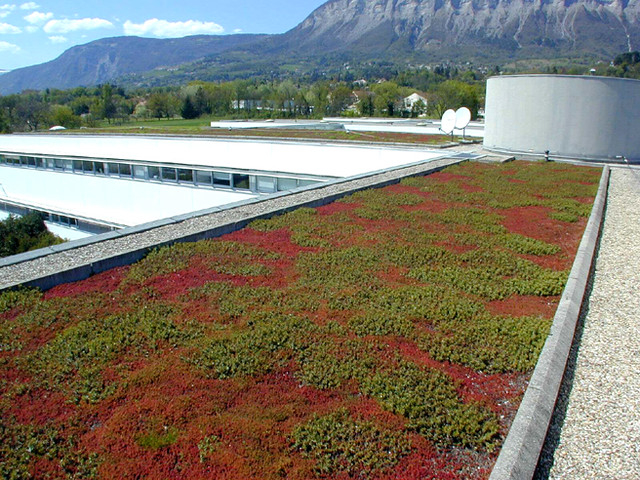 Toiture Terrasse Végétalisée toiture Terrasse Végétalisée Ttv