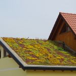 Type De toiture toiture Végétalisée Types &amp; Dés Avantages