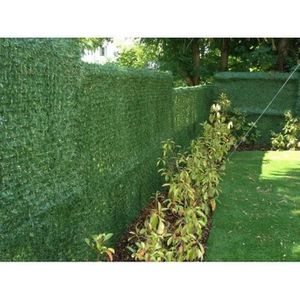 haie de jardin pas cher