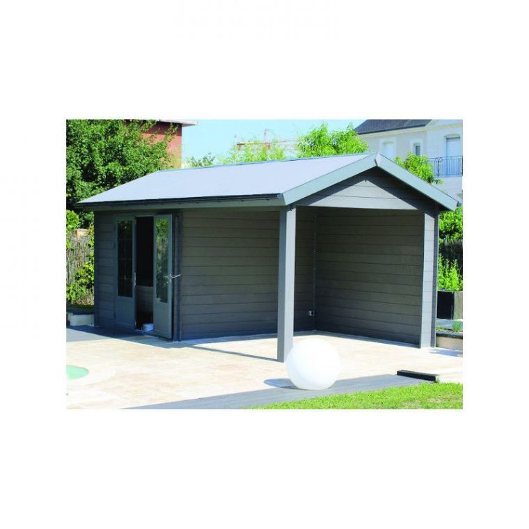 abri de jardin composite avec auvent