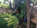 Amenagement De Jardin - Arbor&amp;sens Entretien De Jardin Et ... pour Delimitation Jardin