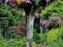 Arbre Mort, Bois Flotté Et Souche D'arbre Pour Décorer Le Jardin à Arbre Pour Petit Jardin