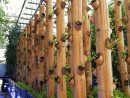 Bamboo Gardening Greenhouse … | Agriculture Urbaine ... tout Serre De Jardin Amazon
