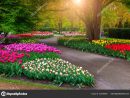 Beautiful Spring Landscape Fabulous Keukenhof Garden ... encequiconcerne Jardin De Keukenhof