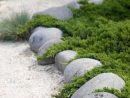 Bordures De Jardin : Créer Des Zones Bien Délimitées ... pour Bordure Jardin Metal