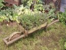 Brouette En Bois - Envie De Jardin pour Brouette Deco Jardin