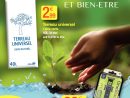 Calaméo - Carrefour Destreland Guadeloupe Jardin 2017 destiné Tonnelle De Jardin Carrefour