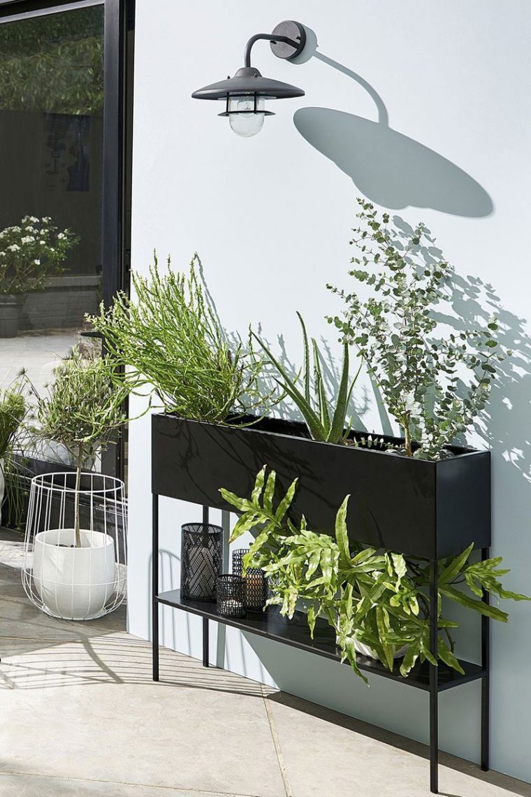 plante pour jardiniere haute