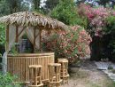 Épinglé Sur Gazebo Bambou, Paillote Bambou Et Bar En Bambou à Paillote Jardin