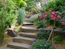 Escalier De Jardin - Aménagement D'escalier Extérieur ... tout Exemple D Aménagement De Jardin