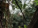 Grandes Serres Du Jardin Des Plantes (Greenhouses ... dedans Serre De Jardin Amazon