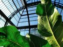 Grandes Serres Du Jardin Des Plantes (Greenhouses) | Muséum ... intérieur Verriere Jardin