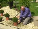 Habiller Un Gravier Avec Des Plantes pour Jardin Avec Galets Blancs
