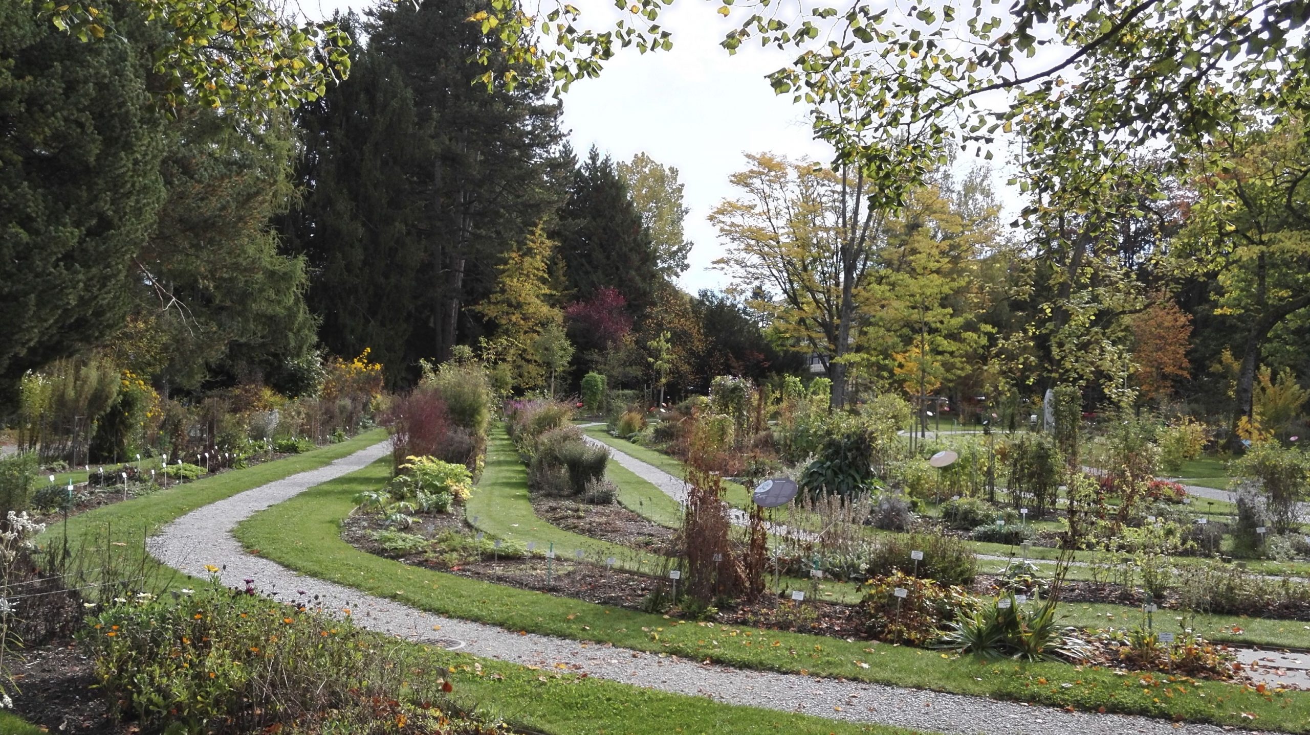 Jardin Botanique De L'université De Fribourg — Wikipédia à Arbre Pour Petit Jardin