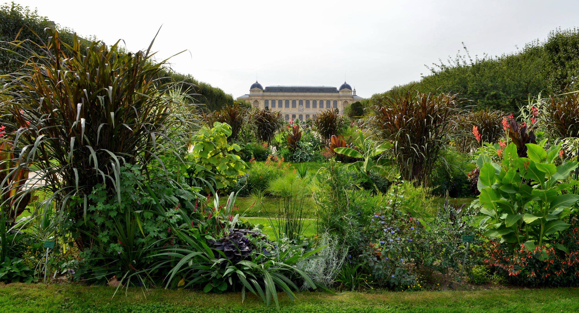 Jardin Des Plantes | Galeries, Jardins, Zoo - Jardin Des Plantes à Arbre Pour Petit Jardin
