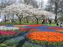 Jardín Keukenhof En Holanda Uno De Los Jardines Más Hermosos ... pour Jardin De Keukenhof