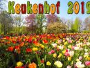 Keukenhof 2019. Full Hd. Keukenhof Is The Garden Of Europe. serapportantà Jardin De Keukenhof