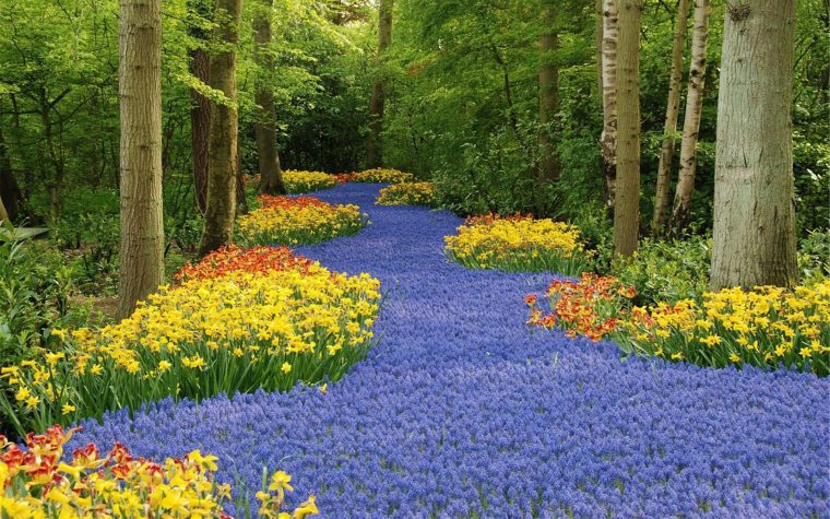 Keukenhof | Fotografia Paisaje, Jardines, Jardín De Flores avec Jardin De Keukenhof