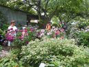 La Chaux | Le Jardin Des Sources, Un Havre De Verdure Et De Paix intérieur Chaux Jardin