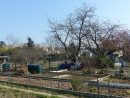 Nature En Ville À Cergy-Pontoise | De La Sciure Pour Le Jardin encequiconcerne Copeaux De Bois Jardin