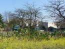 Nature En Ville À Cergy-Pontoise | De La Sciure Pour Le Jardin tout Copeaux De Bois Jardin