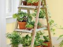 Old Ladders Repurposed As Home Decor | Bricolage De Jardin ... avec Escabeau Jardin