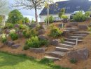 Rocaille De Jardin - Plante De Rocaille | Paysages Conseil concernant Exemple D Aménagement De Jardin