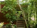 Tendance Eco-Lodge : L'exemple Du Jardin Des Colibris En ... concernant Au Jardin Des Colibris