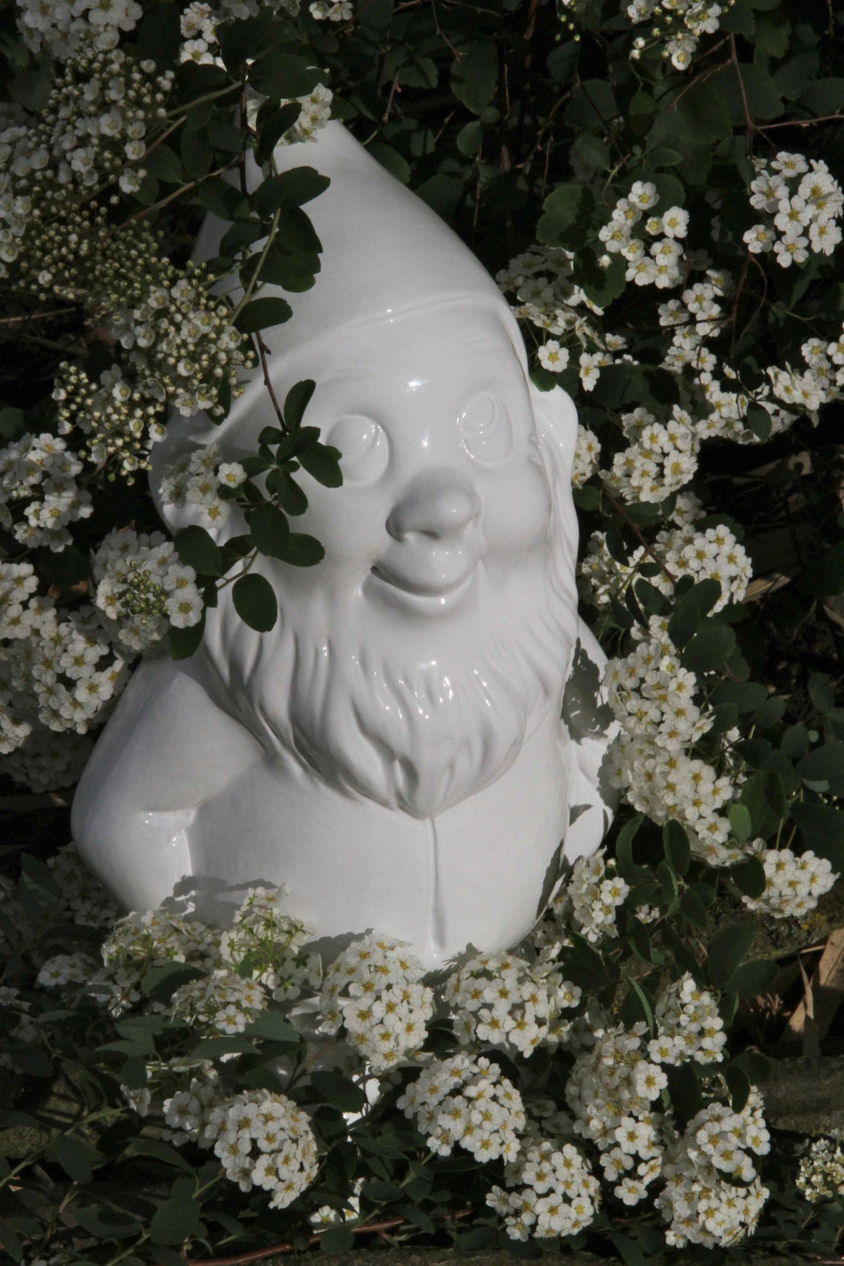 The Gnome Martin Le Coquin In Flowers / Le Nain De Jardin ... destiné Nain De Jardin Fuck