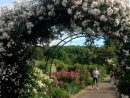 Un Arceau De Roses Blanches Au Jardin Botanique De Villers ... intérieur Arceau Jardin