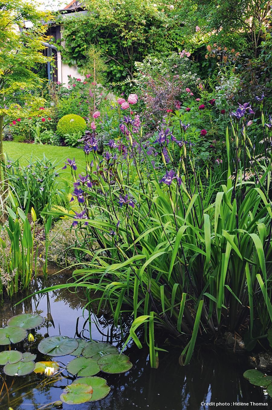 Un Jardin Boudoir En Ville | Jardins, Joli Jardin Et Beaux ... à Plante Bassin De Jardin