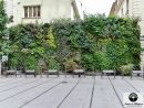 Vertical Garden: Light On This Discipline 100% French! avec Geotextile Jardin
