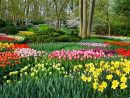 Visit The Keukenhof, The Largest Flower Garden In The World ... pour Jardin De Keukenhof