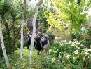Visite Du Jardin &quot;a Fleur D'écorces&quot; - Le Blog De Pjh à Ecorces Jardin